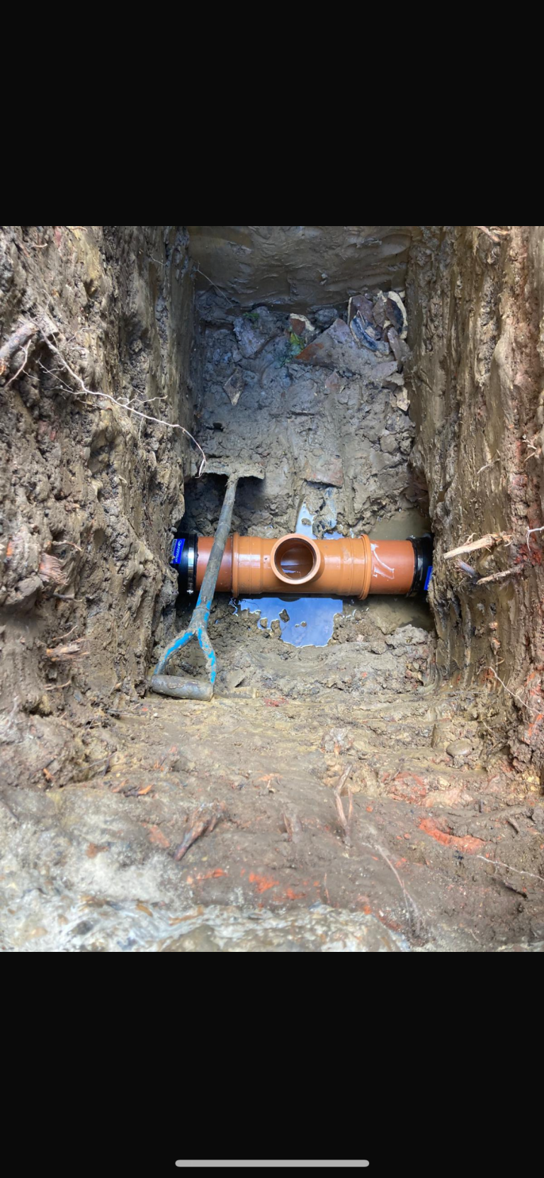 IMG_4145